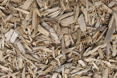 biomass boilers Liff